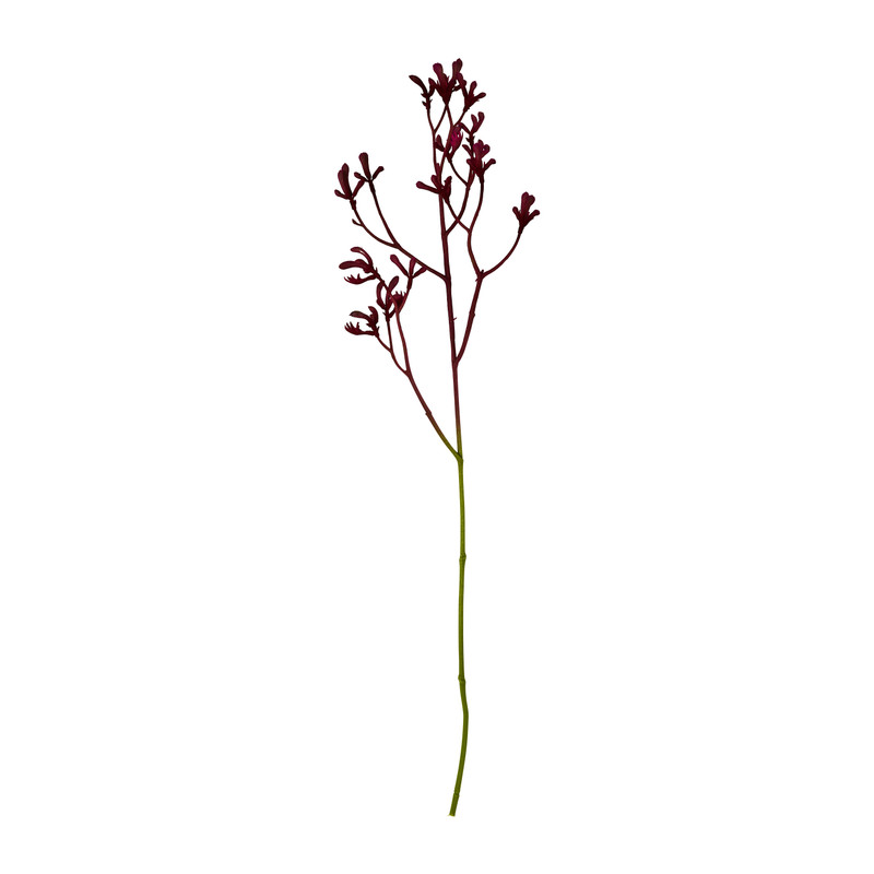 Kangoeroepootje - diverse kleuren - 72 cm