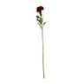 Celosia bloem - 67 cm