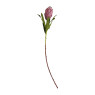 Protea bloem - 77 cm