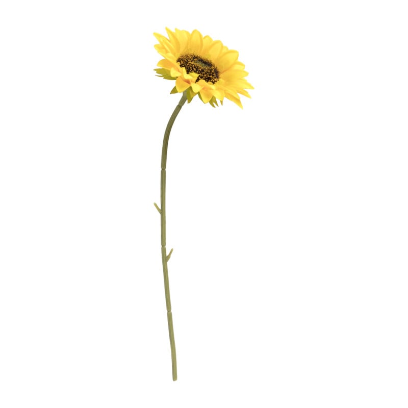 Zonnebloem - 62 cm 