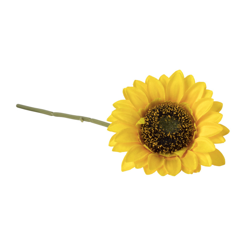 Zonnebloem - 62 cm 