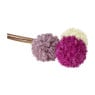 Allium - diverse kleuren - 79 cm