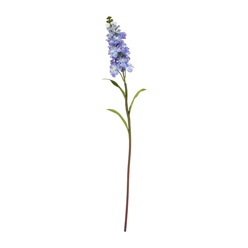 Ridderspoor blauw - 67 cm