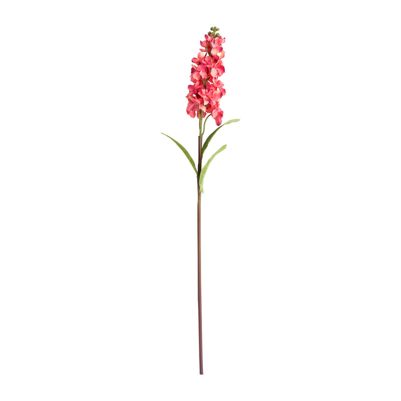 Ridderspoor roze - 67 cm