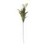 Deco veer - groen - 70 cm