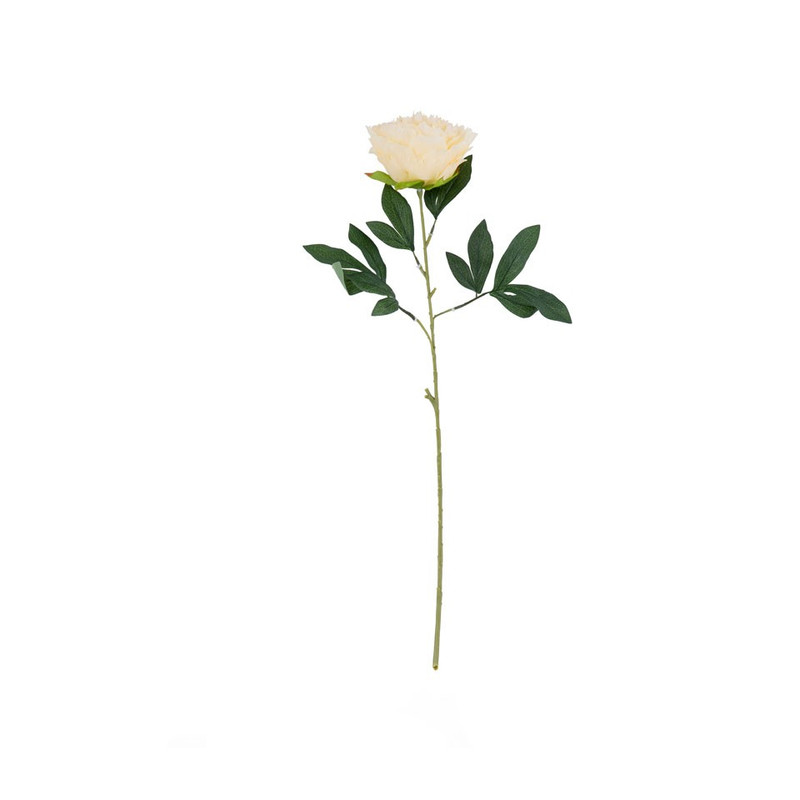 Pioenroos - ivoor - 80 cm