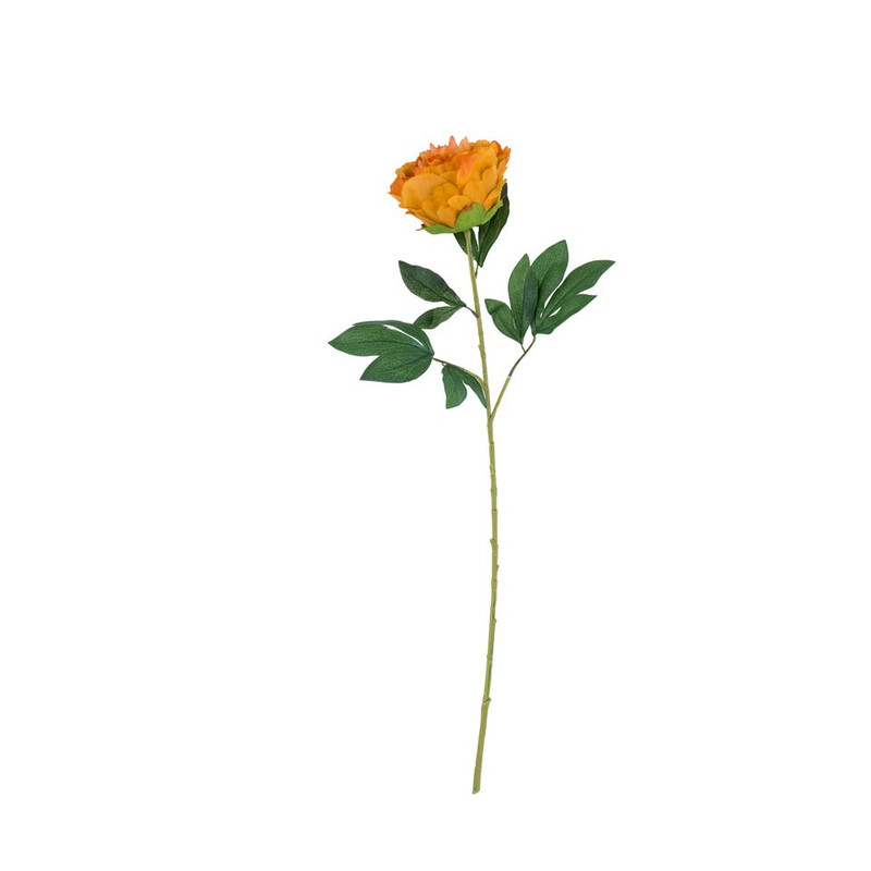 Pioenroos - oranje - 80 cm