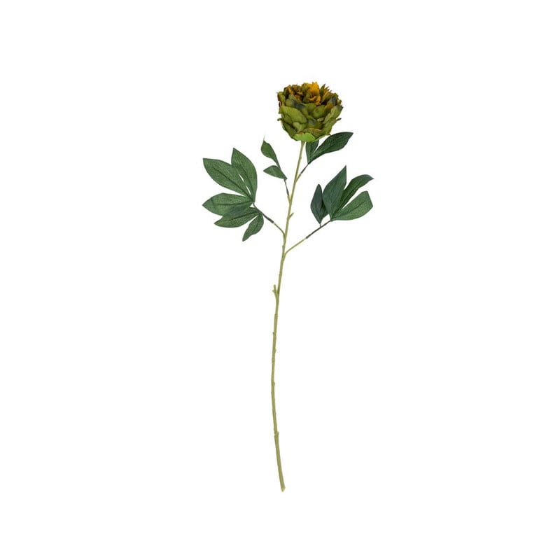 Pioenroos - groen - 80 cm
