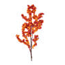 Bessentak - oranje/rood - 62 cm