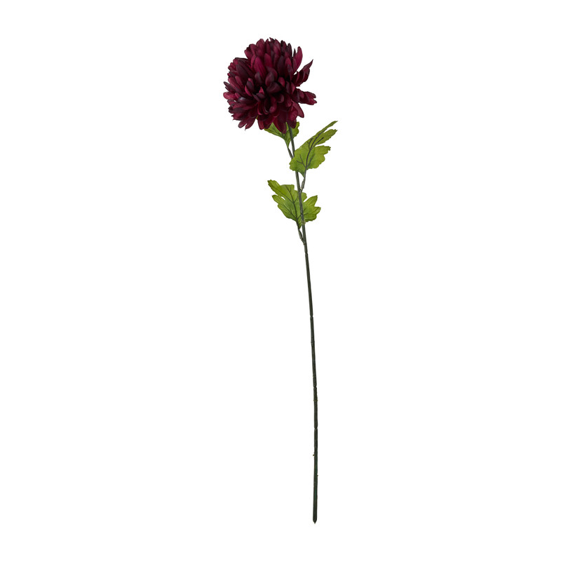 Bolchrysant - paars - 70 cm