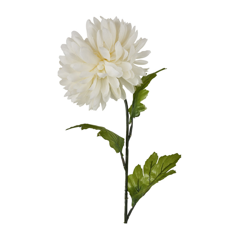 Bolchrysant - wit - 70 cm 