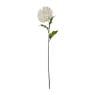 Bolchrysant - wit - 70 cm 