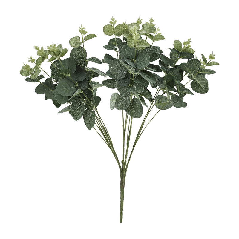 Eucalyptus - 48 cm