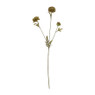 Chrysant geel - 68 cm