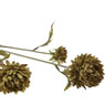 Chrysant geel - 68 cm