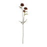 Chrysant rood - 68 cm