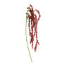 Hangende amarant - rood - 107 cm