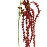 Hangende amarant - rood - 107 cm