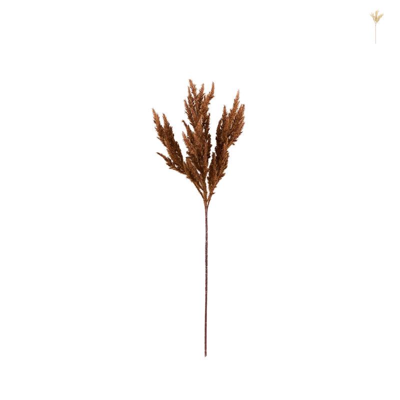 Astilbe - diverse kleuren - 70 cm 