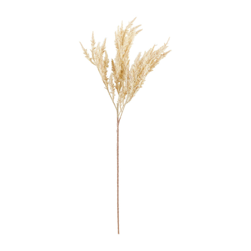 Astilbe - diverse kleuren - 70 cm 
