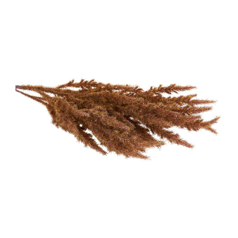 Astilbe - diverse kleuren - 70 cm 