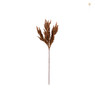 Astilbe - diverse kleuren - 70 cm 