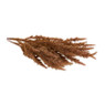 Astilbe - diverse kleuren - 70 cm 