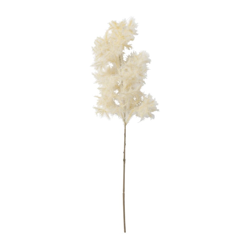 Pluim - naturel - 64 cm