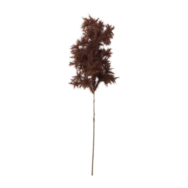 Pluim - bruin - 64 cm