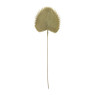 Palmblad waaier - diverse varianten - 77 cm
