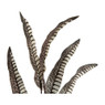 Eucalyptus tak - metallic - 94 cm