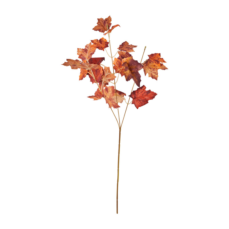 Eikentak - oranje/rood - 61 cm 