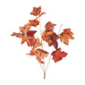 Eikentak - oranje/rood - 61 cm 