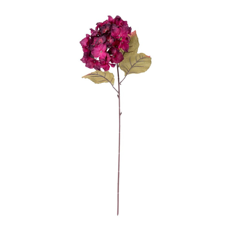 Hortensia - paars - 73 cm