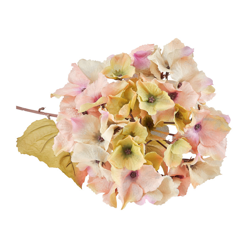 Hortensia - mint/roze - 73 cm