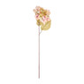 Hortensia - mint/roze - 73 cm