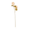Hortensia - wit - 69 cm