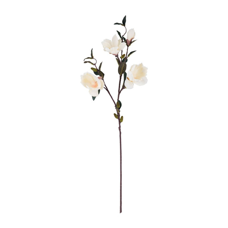 Magnolia tak - crème - 93 cm