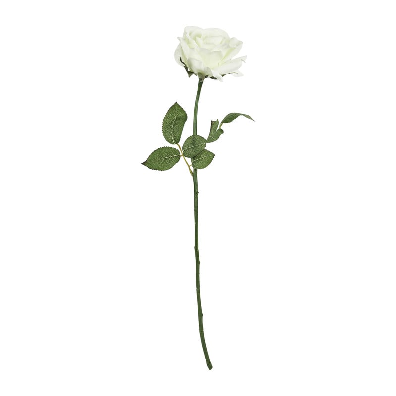 Roos wit - 59 cm 