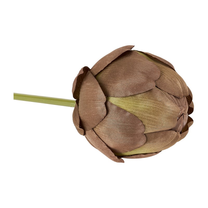 Artisjok - 30 cm 