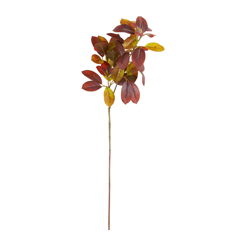 Bergamot bladeren - donkerrood - 70 cm 