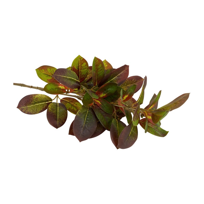 Bergamot bladeren - roodgroen - 70 cm 