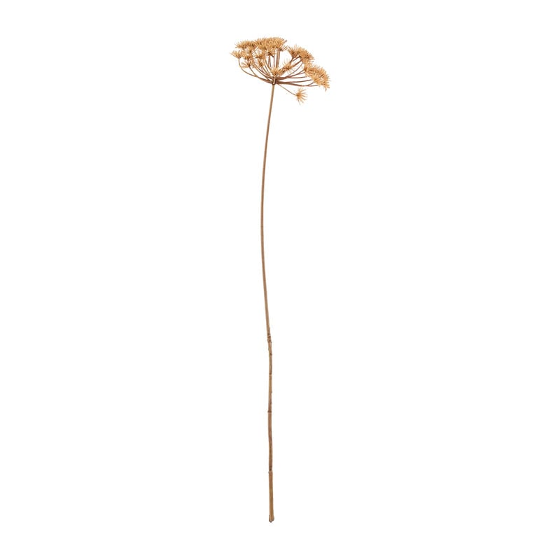 Allium kleine - bloemetjes - 84 cm