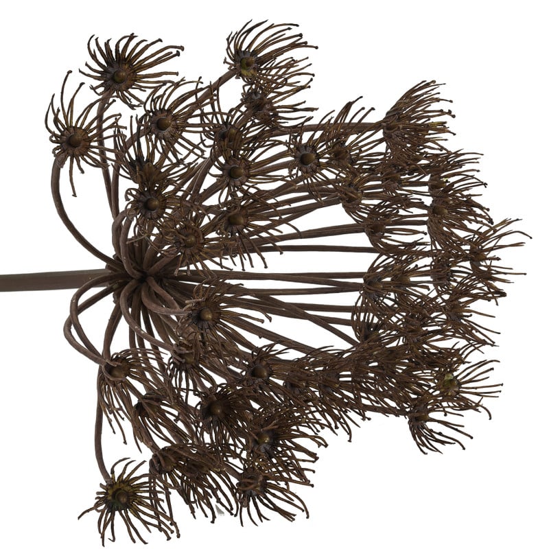 Allium paars - 48 cm 