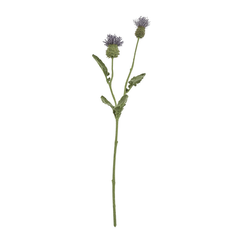 Distel paars - 44 cm