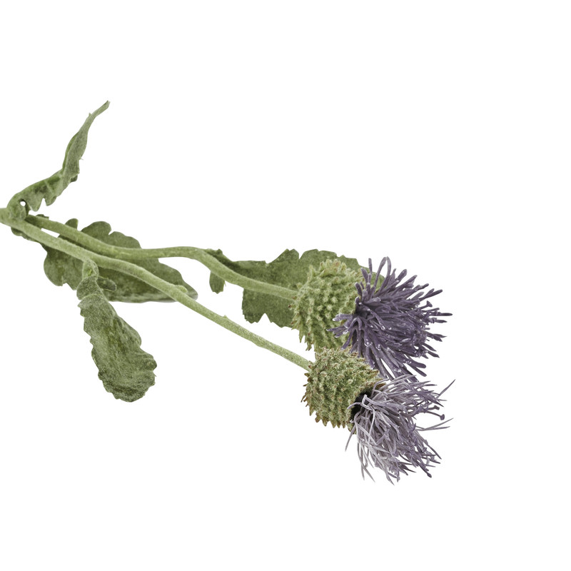 Distel paars - 44 cm