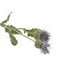 Distel paars - 44 cm