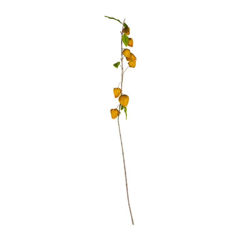 Lampiontak - geel - 91 cm