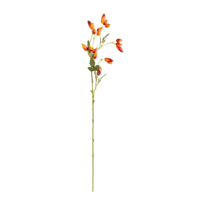 Rozenbottel - 74 cm