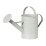 Decoratie gieter ijzer - groen - 33x22x12 cm